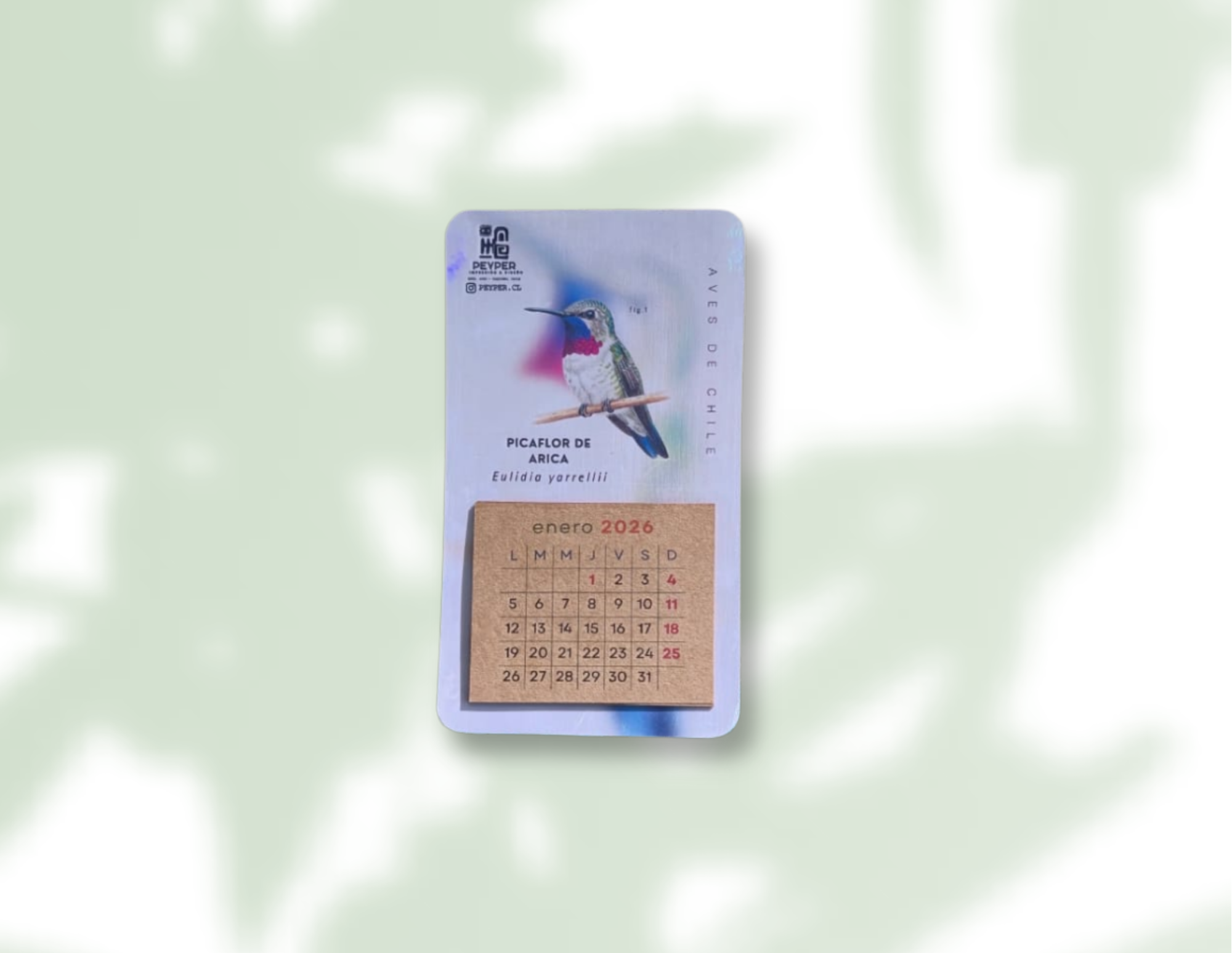 Línea Ecológica bts