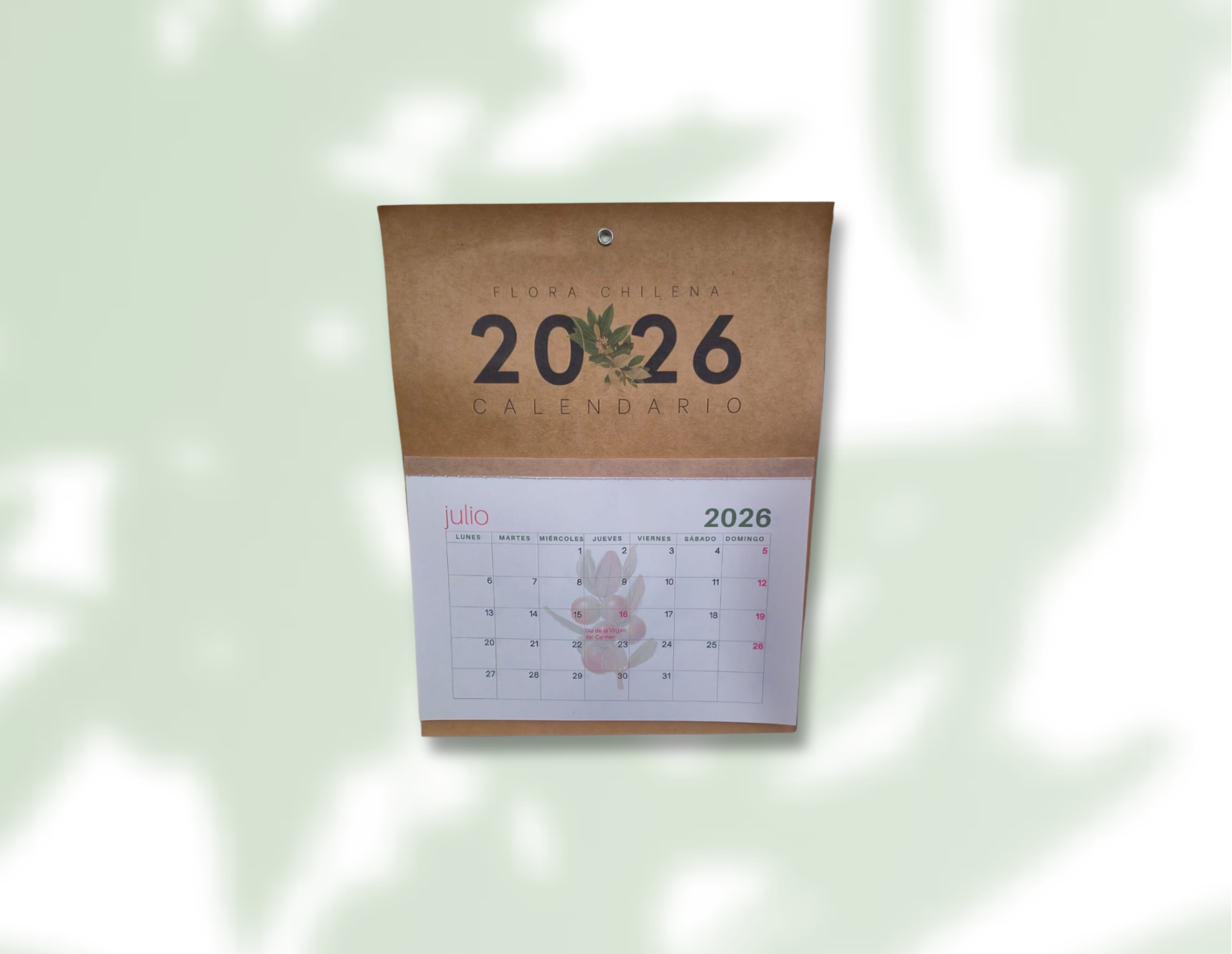 Línea Ecológica Agenda 1